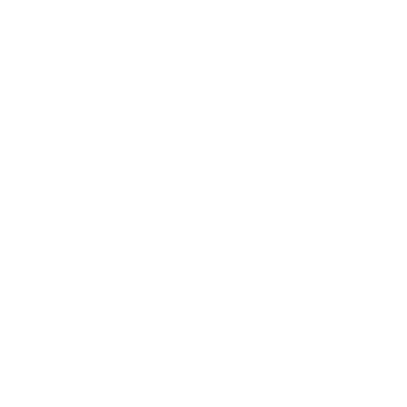 Custom Code Icon